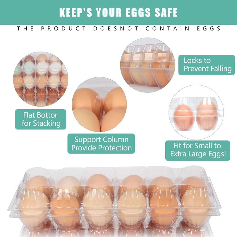 SINLUCESCE 60 Packs 12 Count Clear Egg Cartons, 2 * 6 Grids Design, Perfect for Family, Farm, Markets, Display(Large) - Image 4